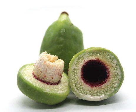 Kakadu Plum