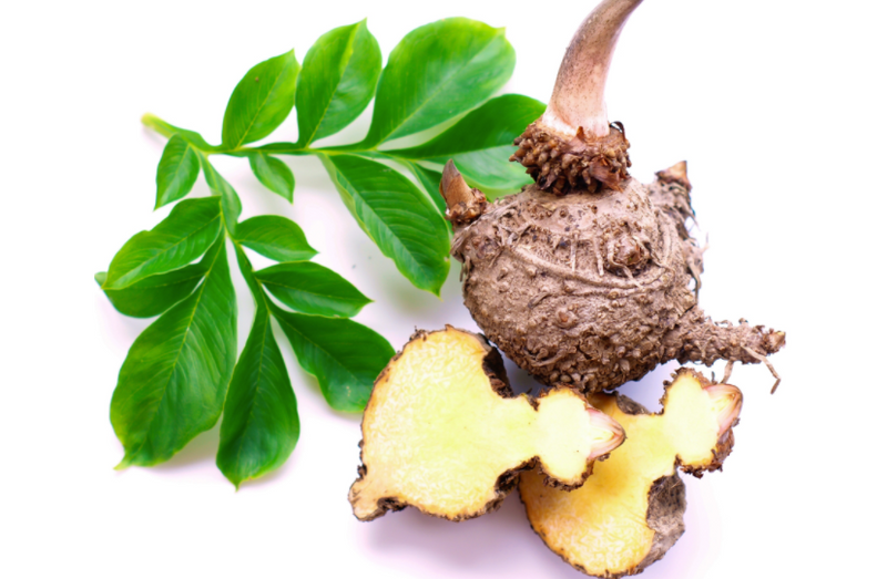 Glucomannan Fibre