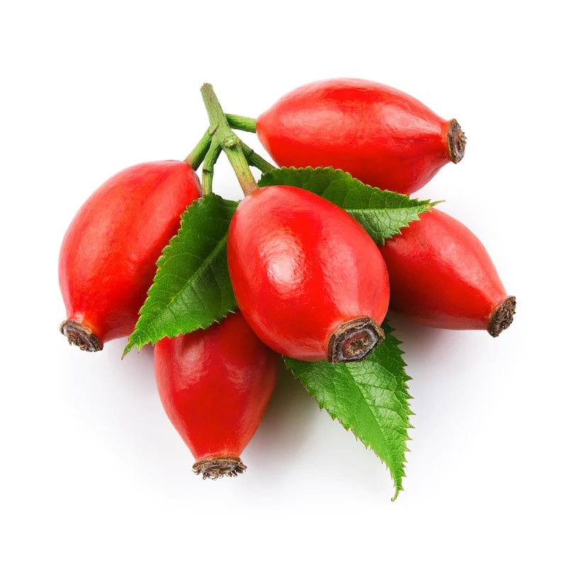 Rose Hip Extract
